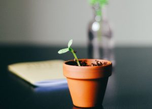 Understanding people development goals can help your business grow